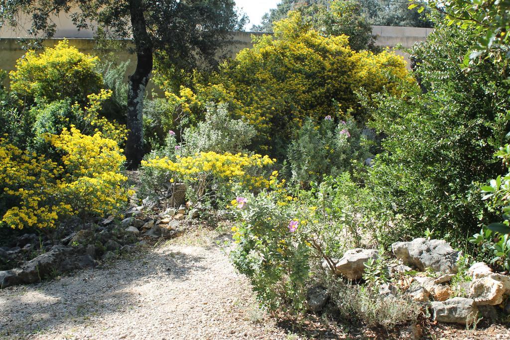 Villa A L'Est D'Uzes Saint-Siffret Exterior foto